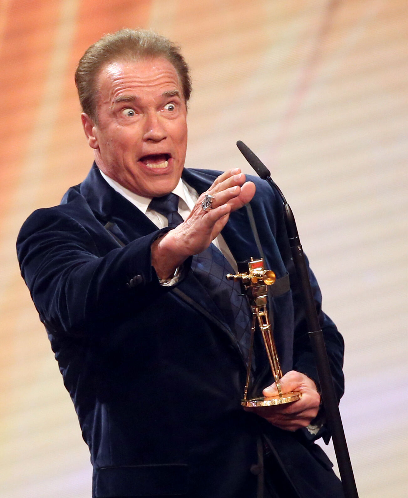 Arnold Schwarzenegger, 2015